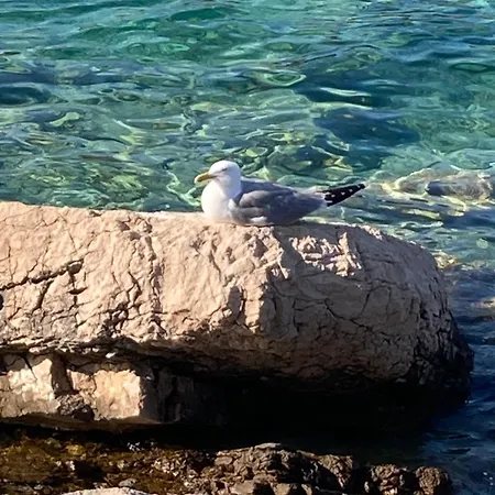 Relax -